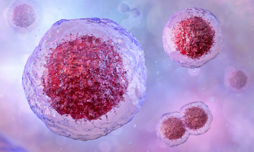 Bone marrow and stem cell transplants